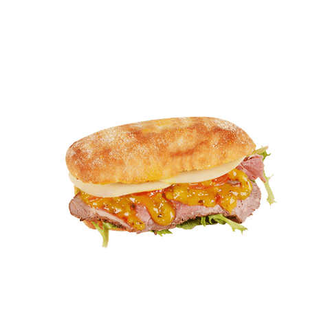 Roast Beef Panini Sandwich